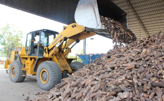 Xăng E10: Cơ hội "đánh thức" vùng nguyên liệu tỷ đô