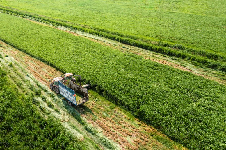 Vinamilk đang c&oacute; loạt dự &aacute;n đầu tư - mở rộng quy m&ocirc; lớn, phủ từ trang trại, nh&agrave; m&aacute;y đến hệ thống ph&acirc;n phối - Ảnh: Vinamilk