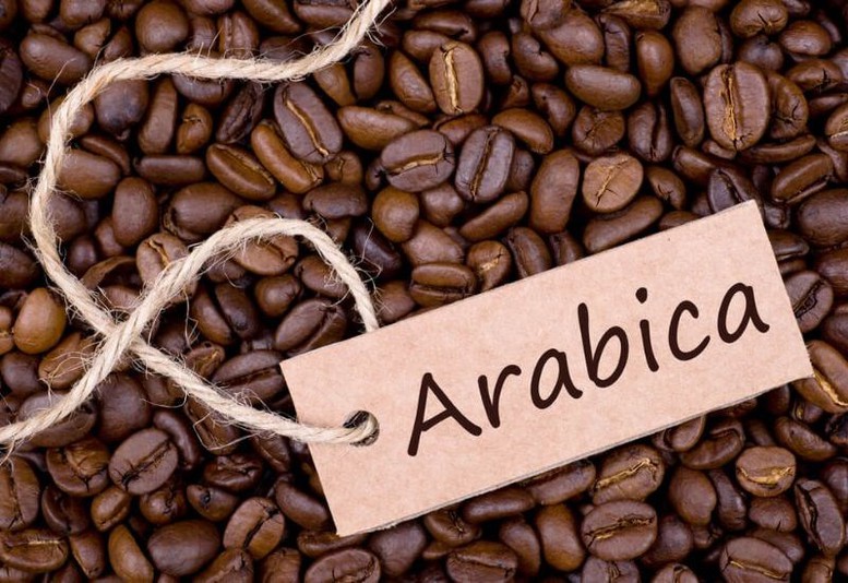 Brazil mưa lớn, giá cà phê Arabica tăng vọt