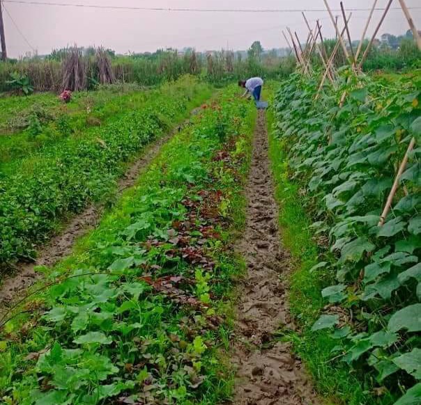 Siết chặt an toàn thực phẩm từ nguồn gốc đến quản lý chợ đầu mối