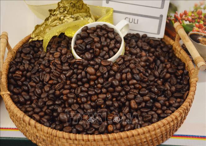 Trong nước, sau nhiều phi&ecirc;n biến động, gi&aacute; c&agrave; ph&ecirc; đ&atilde; vượt mốc 90.000 đồng/kg. Ảnh: Ho&agrave;i Thu/TTXVN