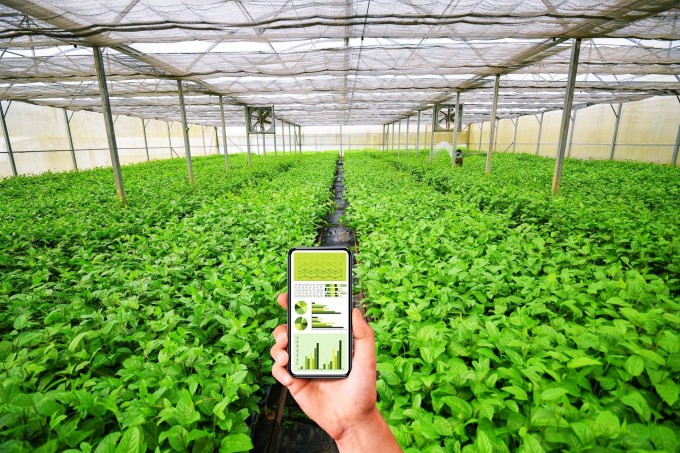 Trước bức tường lửa ESG và truy xuất nguồn gốc: Văn hóa doanh nghiệp là tấm khiên hay là rào cản?