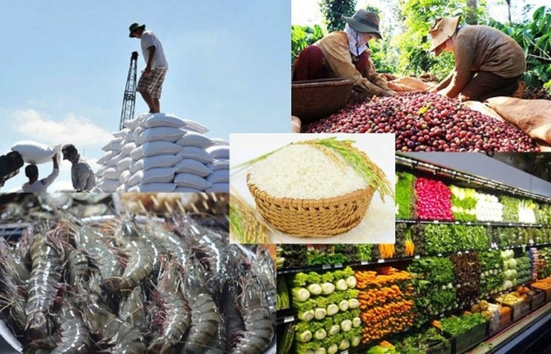 Điểm mạnh lớn nhất của n&ocirc;ng nghiệp Việt Nam l&agrave; năng lực sản xuất.