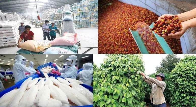 Xuất khẩu nông lâm thủy sản từ 70 đến 100 tỷ USD: Cần những bước đột phá mới