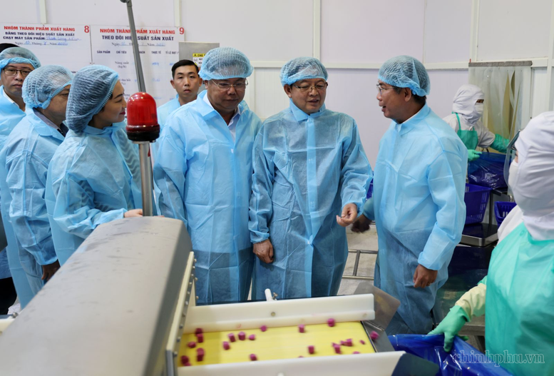 Ph&oacute; Thủ tướng Hồ Quốc Dũng thăm quy tr&igrave;nh sản xuất của C&ocirc;ng ty Antesco - Ảnh: VGP/Gia Huy