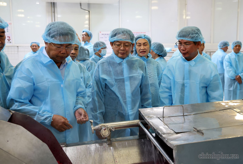 Ph&oacute; Thủ tướng Hồ Quốc Dũng thăm quy tr&igrave;nh sản xuất của C&ocirc;ng ty Antesco - Ảnh: VGP/Gia Huy
