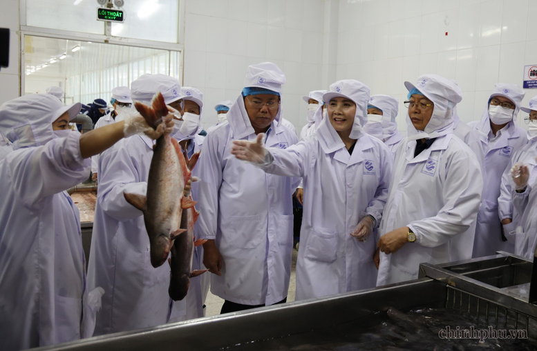 Xây dựng chuỗi liên kết bền vững, nâng cao giá trị nông sản và thủy sản Việt Nam