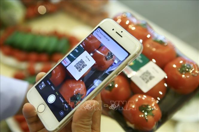 Khi người d&ugrave;ng qu&eacute;t m&atilde; QR Code của sản phẩm, điện thoại sẽ hiện th&ocirc;ng b&aacute;o truy xuất th&ocirc;ng tin về nguồn gốc sản phẩm. Ảnh tư liệu: Minh Quyết/TTXVN