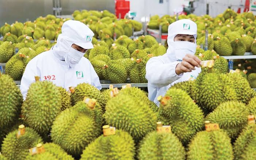 Chuyển đổi số mở đường cho quản lý vùng trồng hiện đại