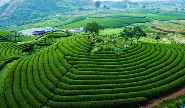 Xuân Trường muốn đầu tư du lịch quy mô lớn tại Sơn La