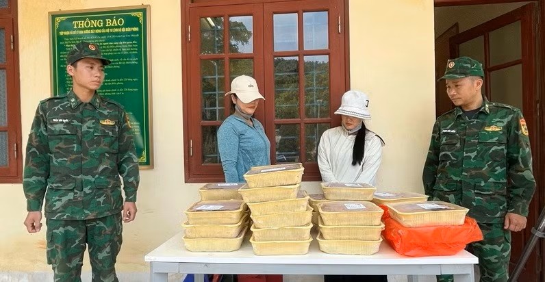 Biên phòng Lào Cai liên tiếp chặn tôm hùm đất nhập lậu hư hỏng