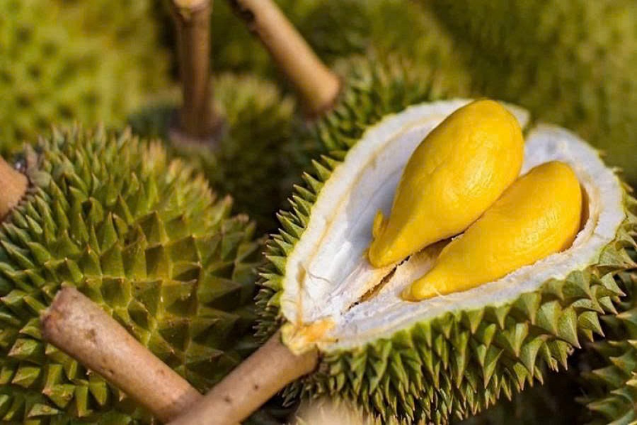 Lâm Đồng triển khai hệ thống truy xuất nguồn gốc nông sản, thúc đẩy chuyển đổi số ngành nông nghiệp