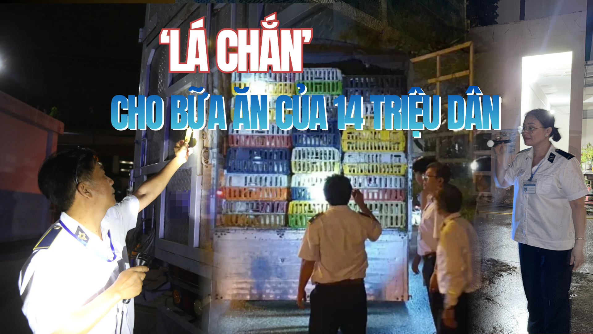 Những người giữ an toàn cho bữa ăn của 14 triệu dân TP.HCM - Kỳ 3: Kiên quyết không để heo nhiễm chất cấm lên bàn ăn