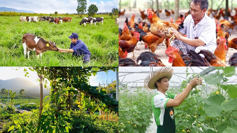 Chính sách mới có hiệu lực từ tháng 8/2026