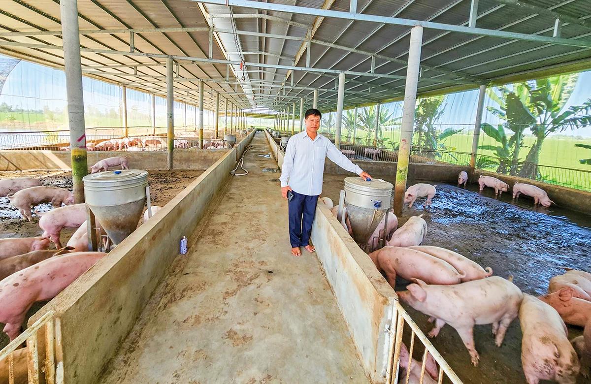 Giá heo hơi hôm nay 30/8: Miền Bắc tiếp tục giảm