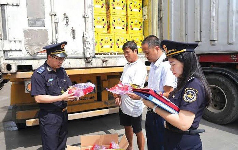 Nghỉ lễ 2/9 dài 5 ngày, hải quan trực 24/7 thông quan hàng hóa