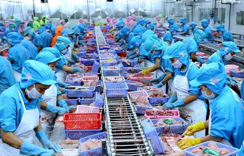 Quy định SPS cho nông sản, thực phẩm Việt Nam xuất khẩu sang Italia