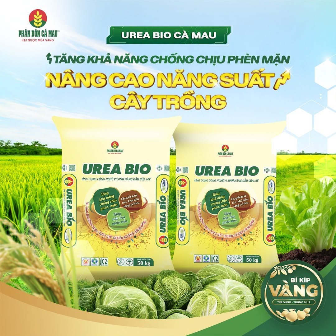 Urea Bio Cà Mau – Giải pháp dinh dưỡng giúp cây trồng thích ứng phèn, mặn
