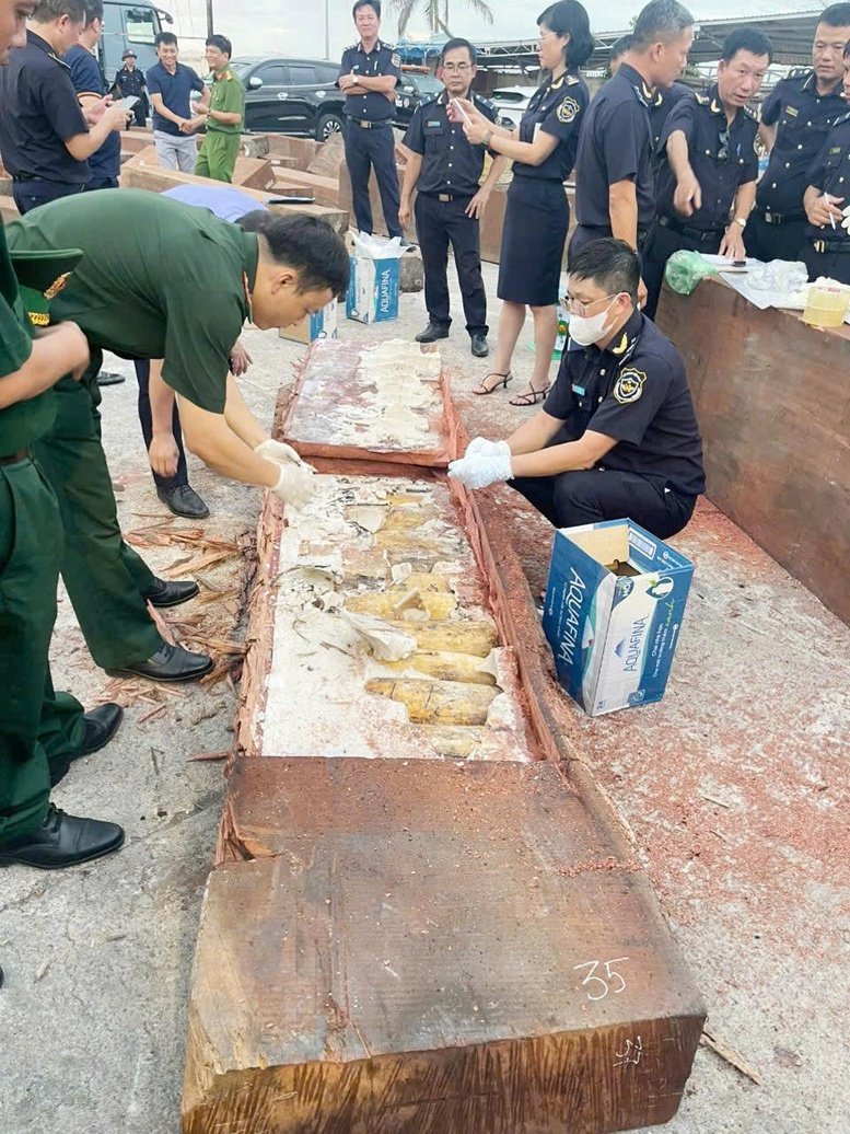 Hải quan bàn giao cho Công an vụ phát hiện 1,2 tấn ngà voi từ châu Phi