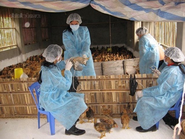 Siết chặt quản lý hoạt động sản xuất, nhập khẩu, buôn bán, sử dụng thuốc thú y