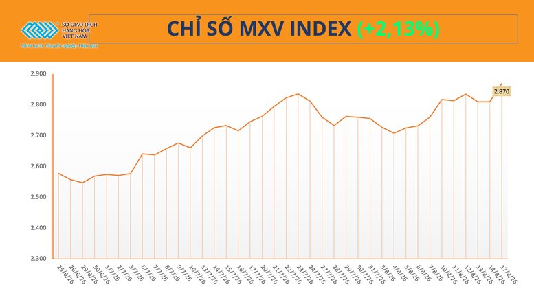 THỊ TRƯỜNG HÀNG HÓA: Sắc xanh bao phủ, MXV-Index tăng 60 điểm