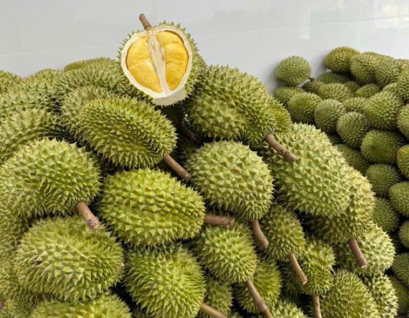 Giá sầu riêng hôm nay 29/8: Sầu Thái loại A cao nhất 80.000 đồng/kg