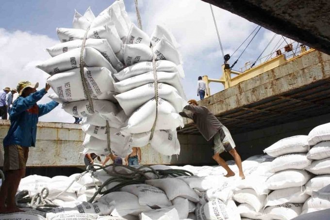 Giá lúa gạo hôm nay 30/8: Gạo nguyên liệu giảm, thị trường trầm lắng