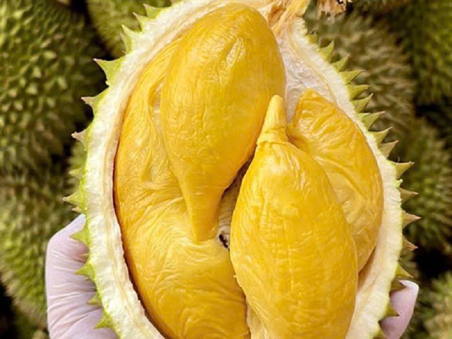 Giá sầu riêng hôm nay 31/8: Sầu Thái VIP loại A có giá 85.000 đồng/kg