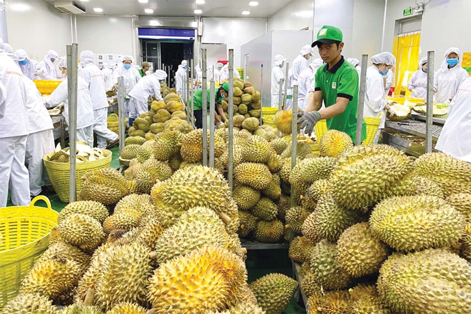 Cục diện mới của rau quả Việt trên thị trường tỷ dân và đích đến cuối năm