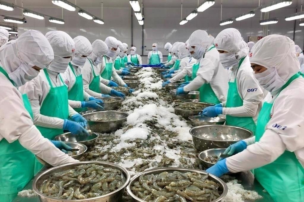 Xuất khẩu thủy sản xoay trục sang thị trường châu Á trước áp lực rào cản thuế từ Mỹ