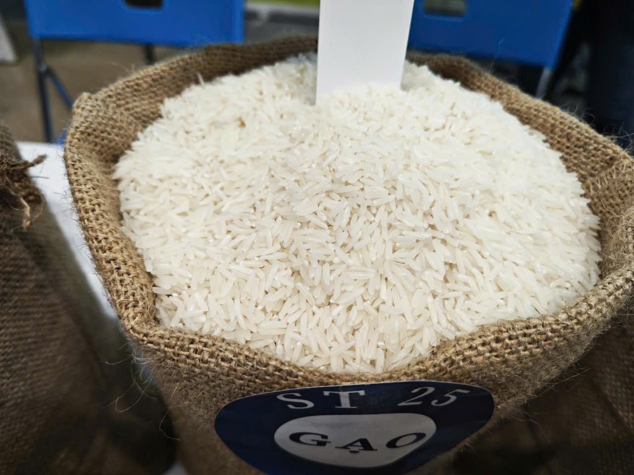 Giá lúa gạo hôm nay 6/9: Lúa tươi chững giảm, gạo nguyên liệu ổn định