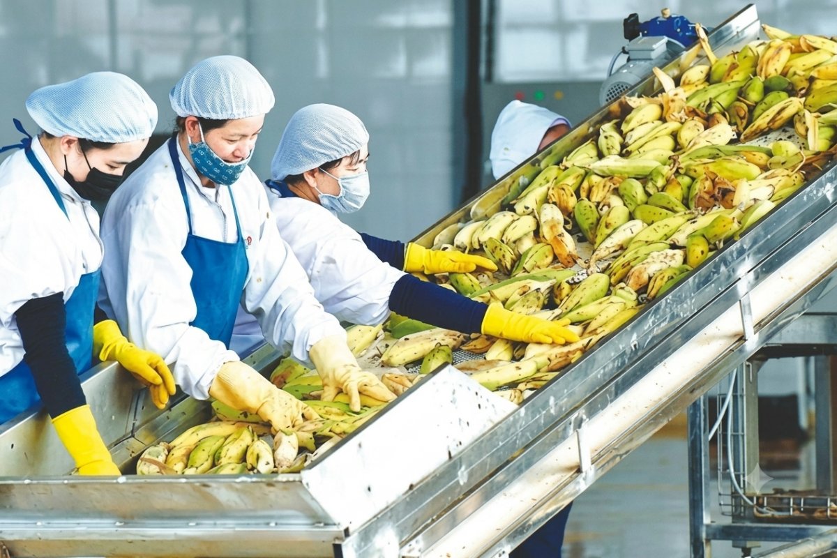 HSL: Công bố những thay đổi lớn về nhân sự, hoạt động kinh doanh và kế hoạch đầu tư