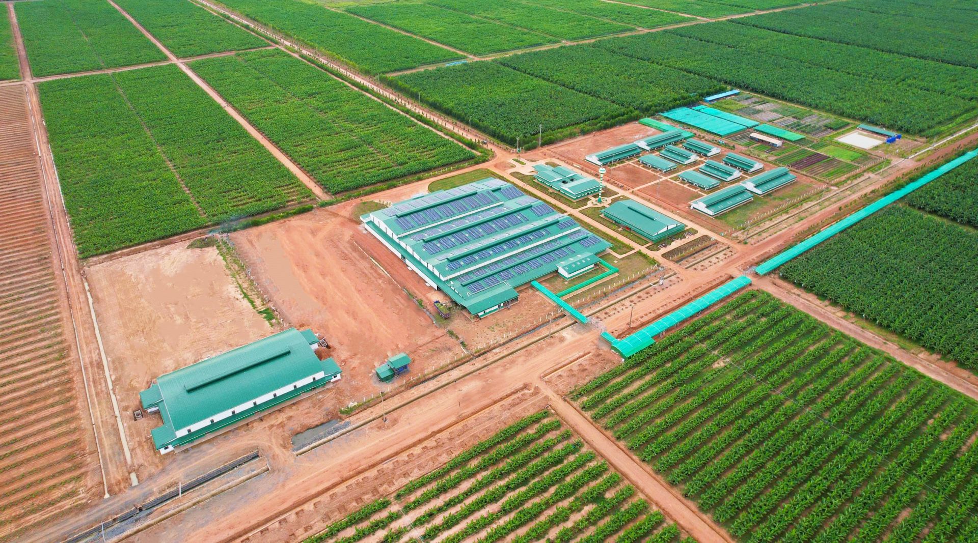 3 Công ty thuộc KLH Koun Mom đạt chứng nhận GLOBALG.A.P. IFA v6 GFS và hoàn thành đánh giá GRASP v2.0