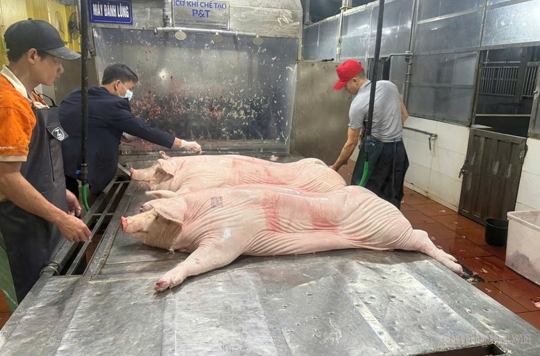 Giết mổ gia s&uacute;c, gia cầm tập trung g&oacute;p phần bảo đảm an to&agrave;n vệ sinh thực phẩm. Ảnh: chinhphu.vn/Thiện T&acirc;m