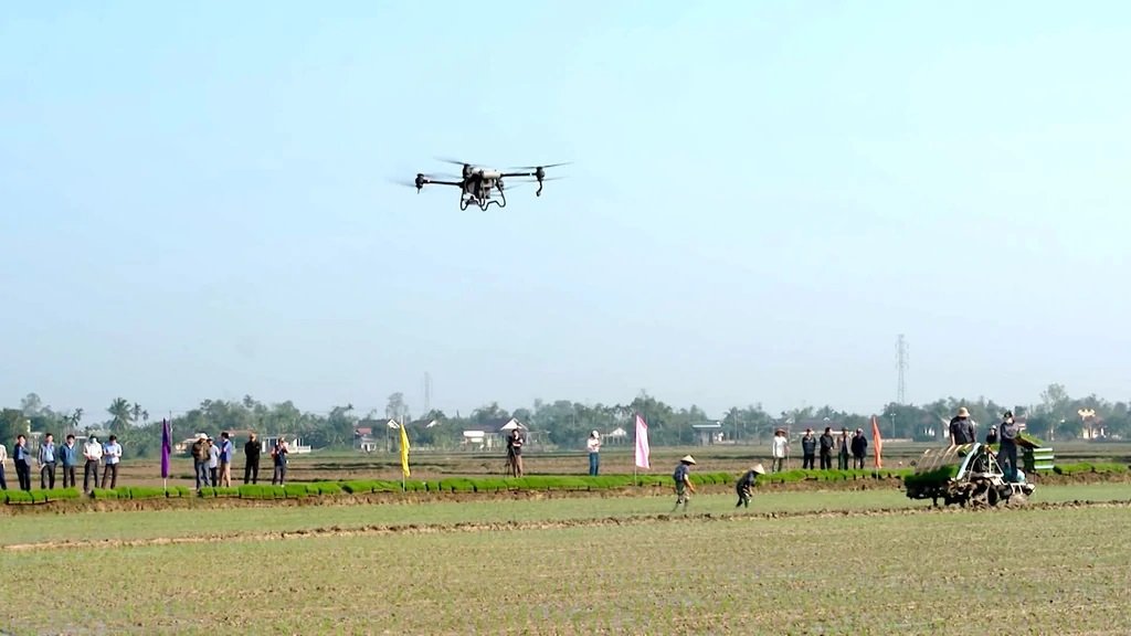 Quảng Trị ứng dụng công nghệ nâng cao giá trị nông sản