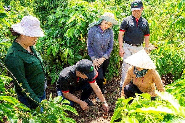 Từ EUDR đến cơ hội nâng giá trị cà phê Việt