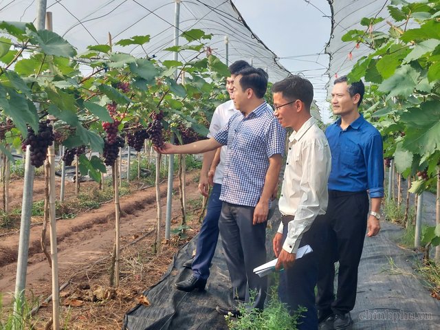 Đẩy mạnh chuyển đổi số trong truy xuất nguồn gốc nông phẩm an toàn