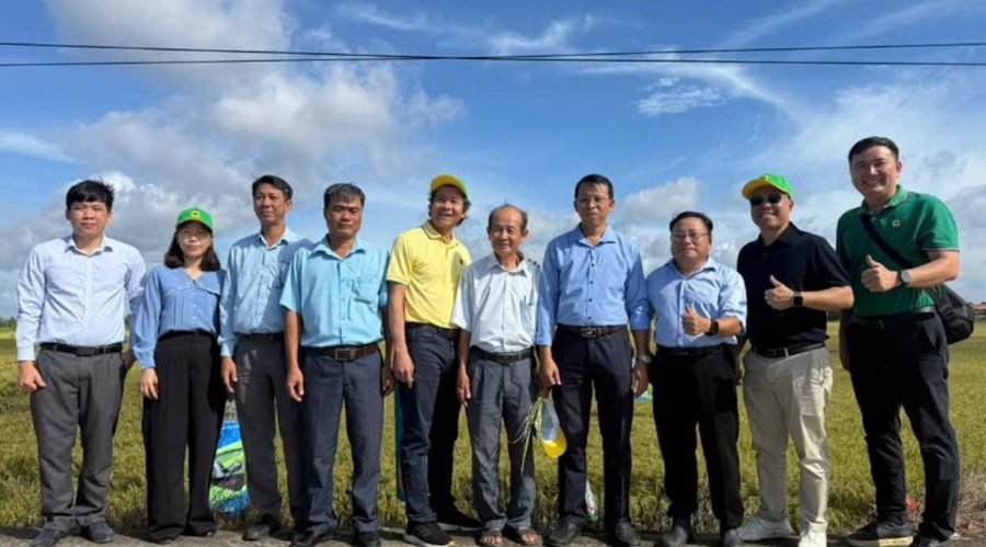 Vụ thứ hai canh tác lúa thông minh, phát thải thấp tại Tây Ninh: Giảm chi phí, lợi nhuận tăng hơn 27%