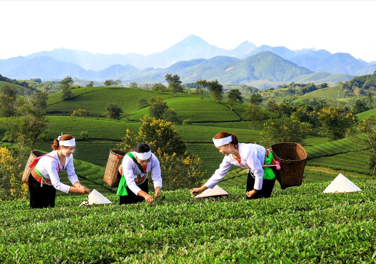 Phú Thọ kết nối OCOP với chuỗi giá trị du lịch