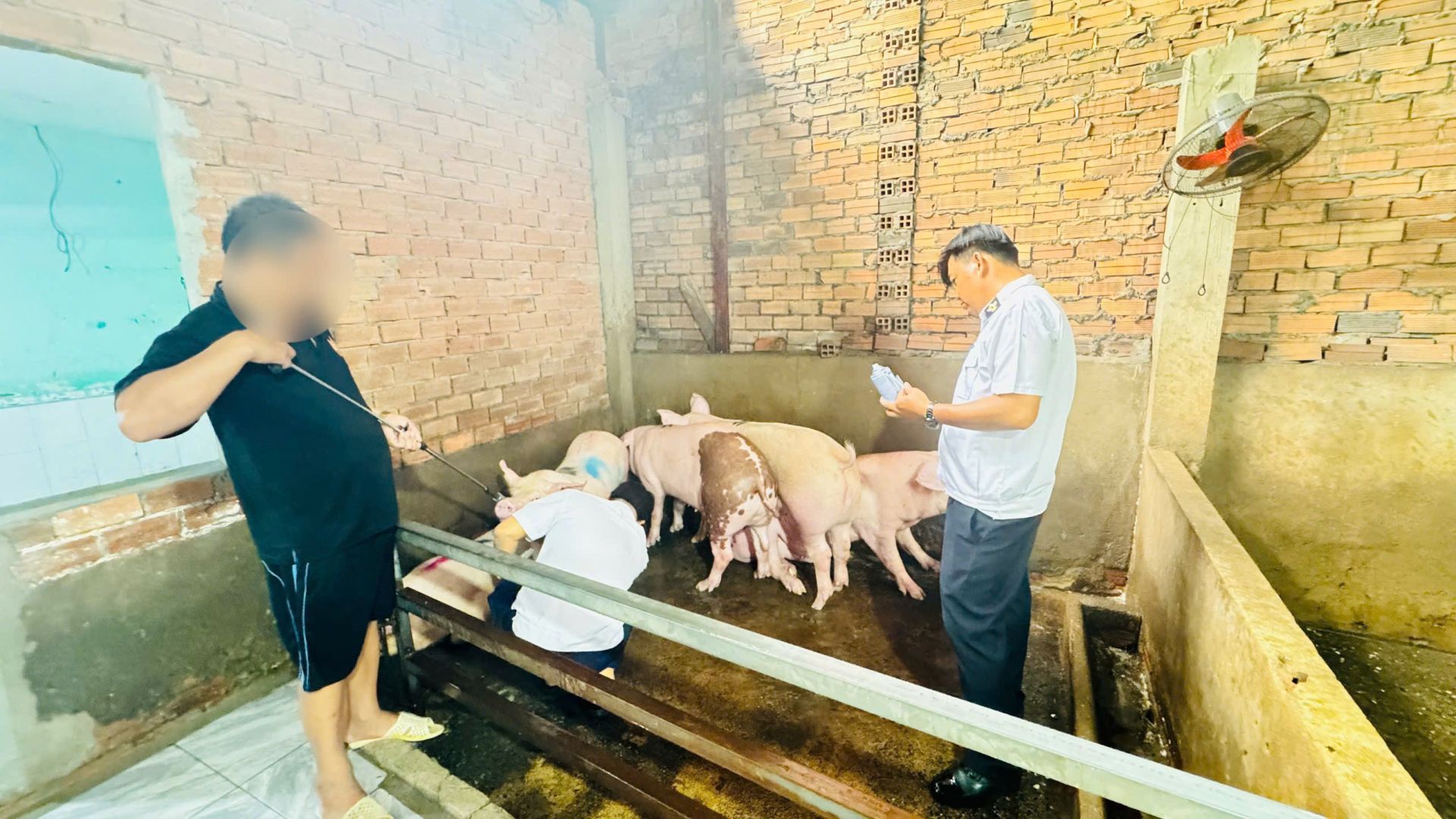 TP.HCM: Phát hiện 2 điểm giết mổ heo trái phép, tiêu hủy 352kg thịt