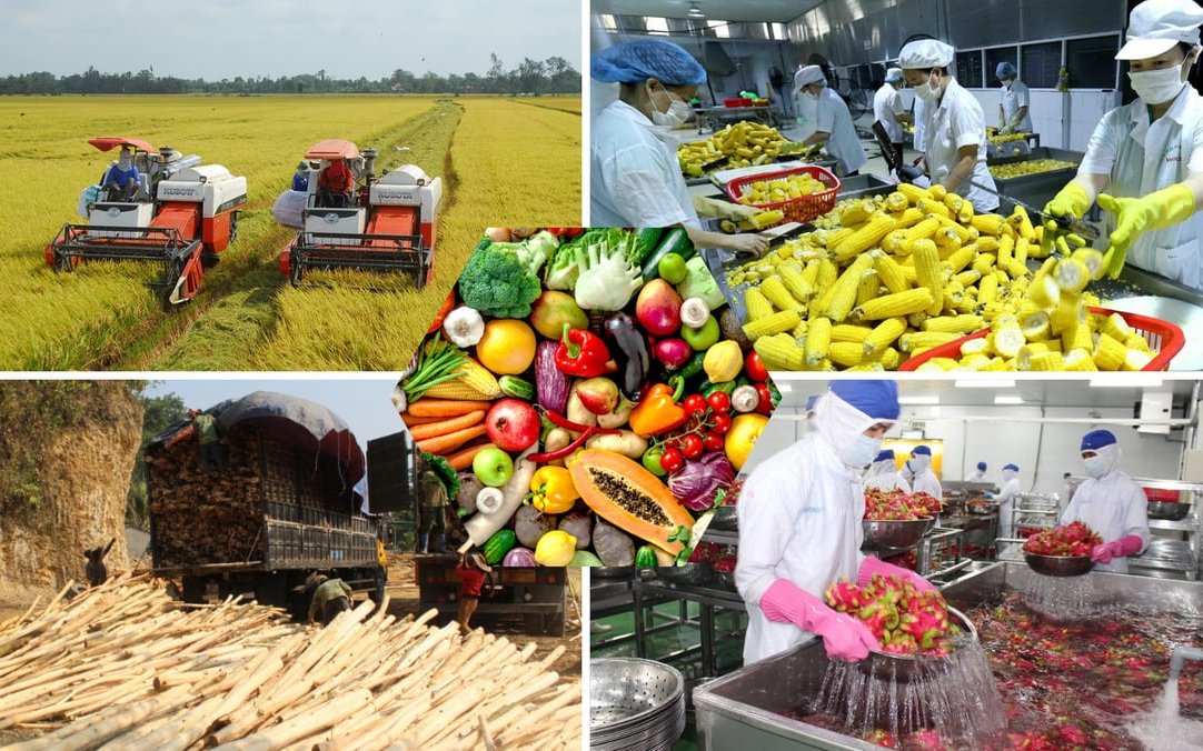 Hà Nội: Tăng cường giám sát chất lượng nông, lâm, thủy sản