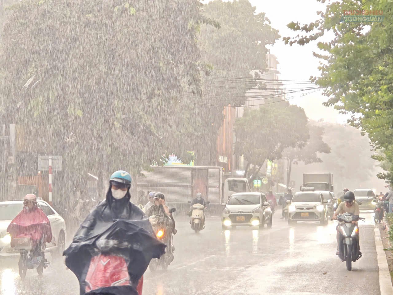 Thời tiết ngày 7/10: Mưa lớn bao trùm Trung Bộ, Bắc Bộ hửng nắng