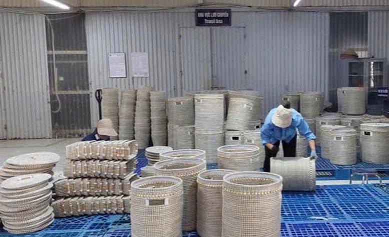Bảo vệ m&ocirc;i trường trong sản xuất l&agrave;ng nghề. Ảnh: Kim Thoa