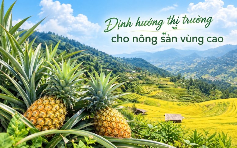 Định hướng thị trường cho nông sản vùng cao