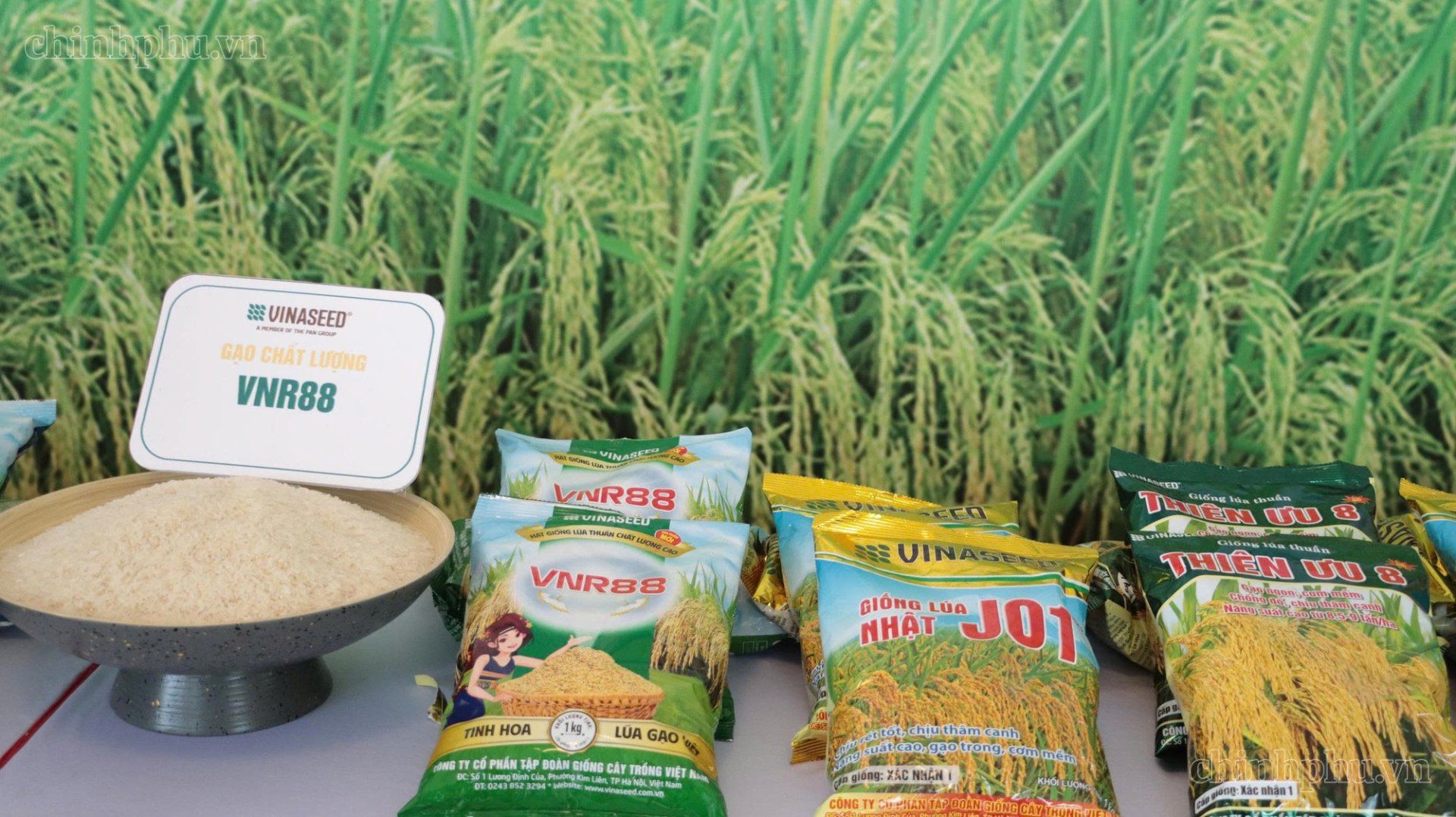 Bảo đảm nguồn cung nông sản, thực phẩm thiết yếu