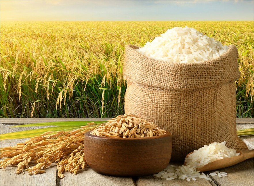 Giá lúa gạo hôm nay 31/10: Gạo xuất khẩu Việt Nam tăng mạnh, gạo thơm thêm 40 USD/tấn