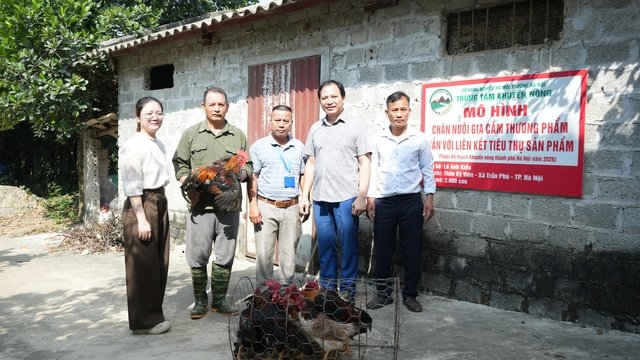 Phát triển chăn nuôi gia cầm an toàn gắn với liên kết tiêu thụ